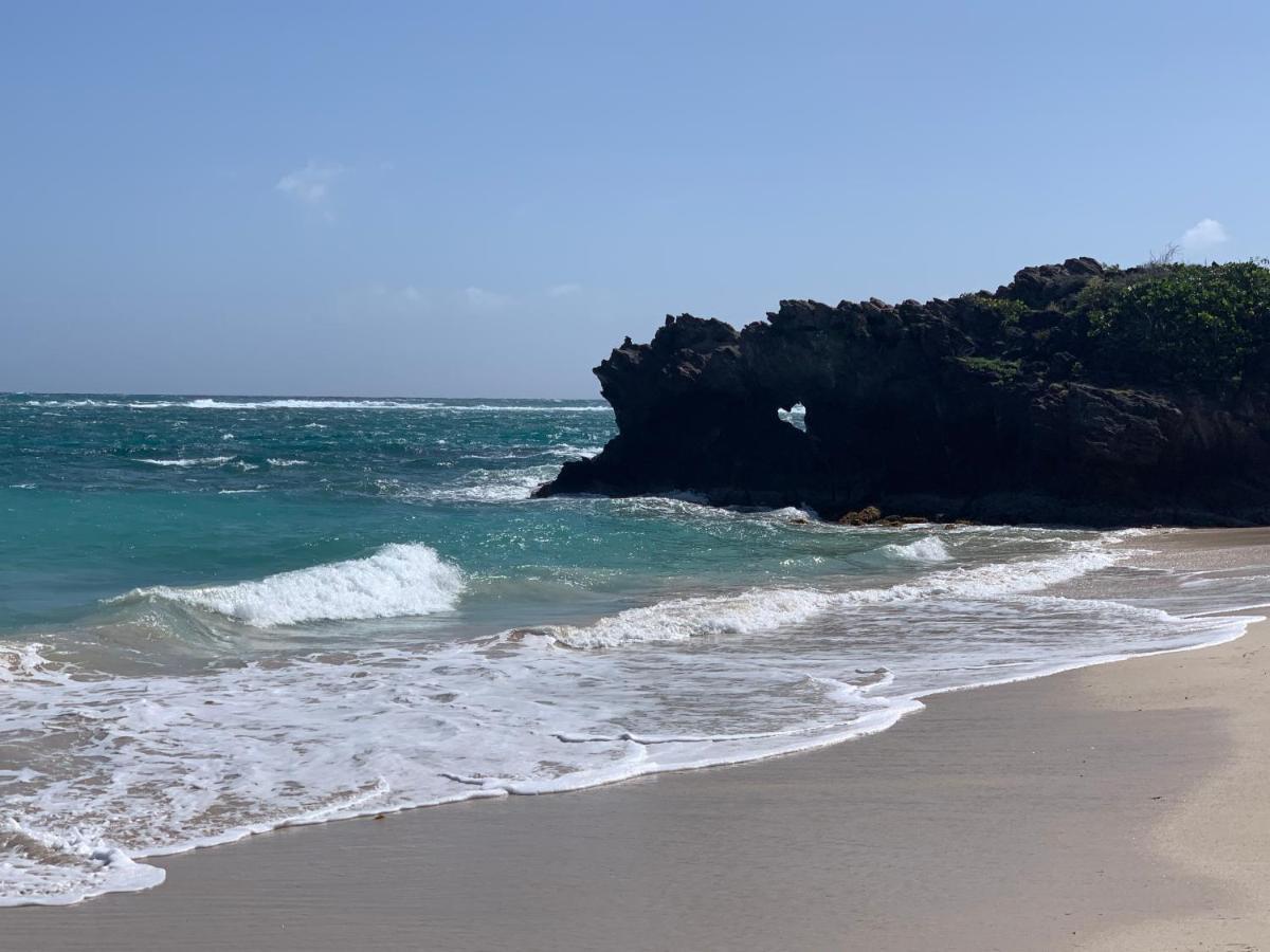 Les Plages De Macabou Le Vauclin Exterior foto